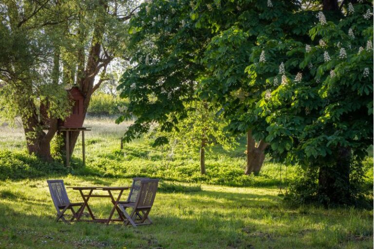 Picture of a garden for gardening leave
